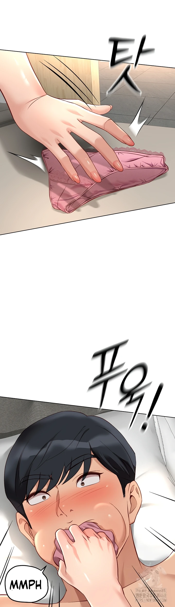 Common Sense Manipulation Program - Page 42